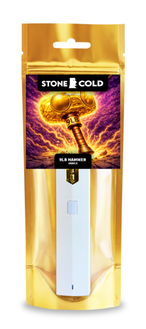 9LB Hammer